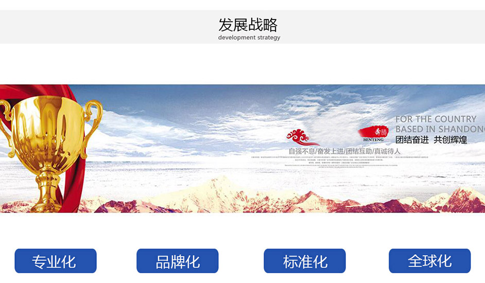 發(fā)展戰(zhàn)略.jpg